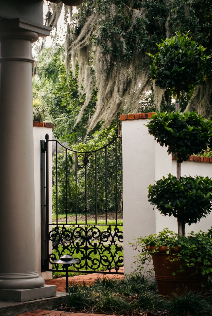 Wrought iron garden gate in a brick-capped stucco wall, with a topiary and moss-draped oaks beyond